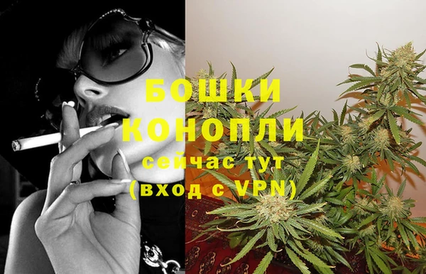 стафф Бородино