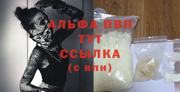 стафф Бородино