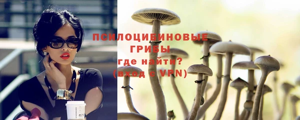 ПСИЛОЦИБИНОВЫЕ ГРИБЫ Бронницы