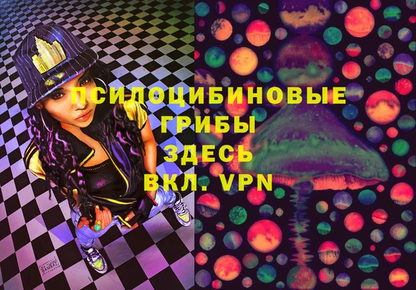 ПСИЛОЦИБИНОВЫЕ ГРИБЫ Бронницы