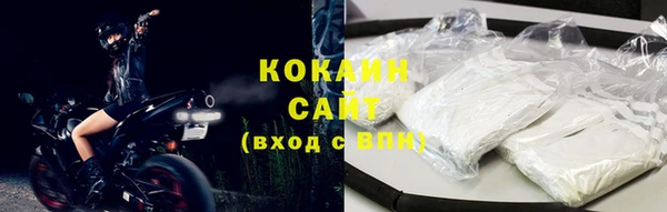 стафф Бородино