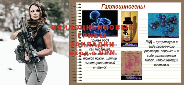 ПСИЛОЦИБИНОВЫЕ ГРИБЫ Бронницы