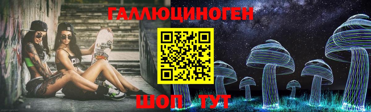 Гусев  Псилоцибиновые грибы Psilocybe  Вход с VPN  цены   Галлюциногенные грибы Psilocybe 