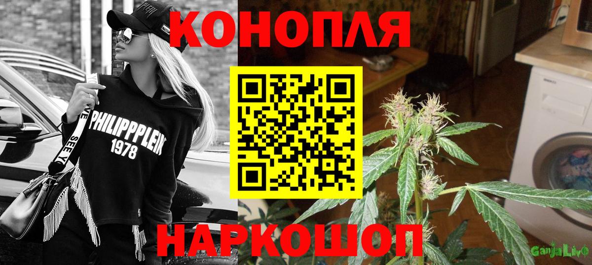 Каннабис сатива  Гусев  Бошки марихуана Amnesia  Марихуана Ganja  Бошки Шишки THC 21% 